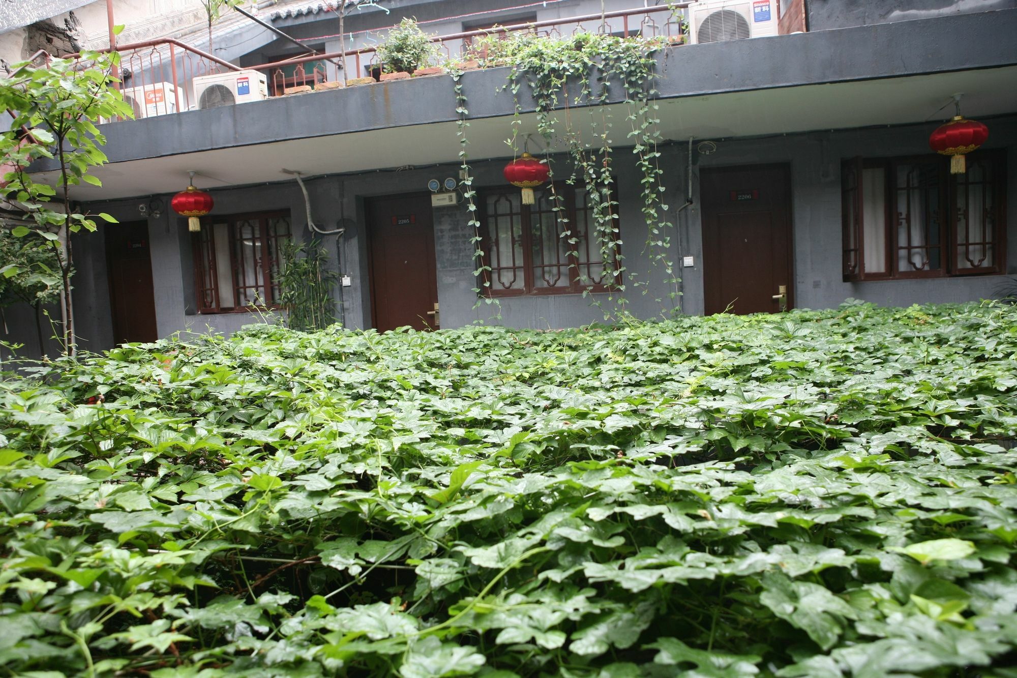 Shuyuan Youth Hostel Xi'An Xi'an  Exterior foto